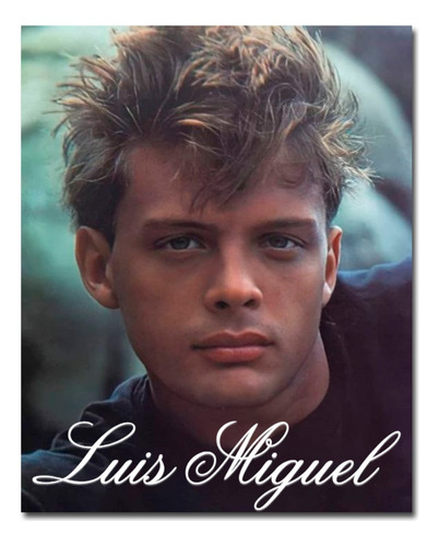 Imagen 1 de 1 de Poster Lámina Decorativa Luis Miguel