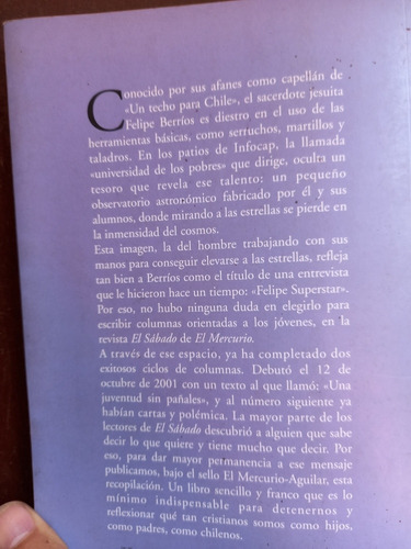 Libro De Columnas Reflexivas Del Cura Felipe Berrios S.j. (Usado)
