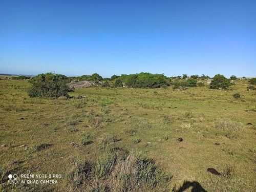 Se Venden 236 Hectáreas, Sobre Ruta 7, Entre Batlle Y Ordóñez Y Valentines. Campo De Sierra, Con Aptitud Ganadero Forestal.