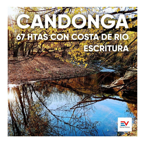 Imagen 1 de 30 de Venta. 67 Hectareas En Candonga, Cordoba. Con 2 Km De Costa De Rio. Titulos Perfectos