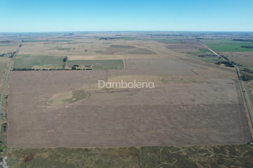 Imagen 20 de 27 de Terreno Campo En Venta En Carmen De Areco, Resto De La Provincia, Buenos Aires