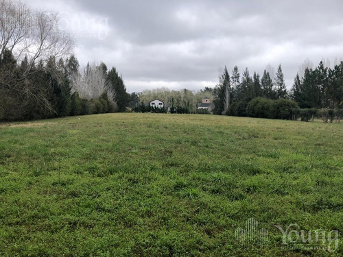 Imagen 3 de 19 de Retazado Terreno Proyecto Aprobado - Campos De Roca L