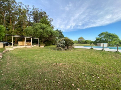 Imagen 29 de 30 de Chacra De 6700 M2 Con Casa Y Piscina En La Pataia - Consulte - Punta Ballena La Pataia