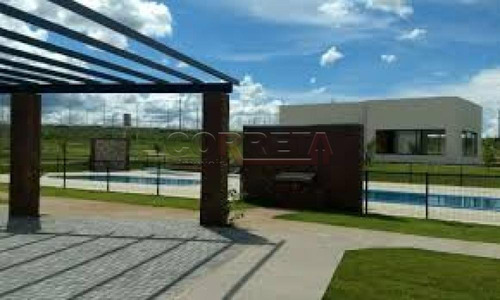 Imagem 6 de 8 de Terrenos - Ref: V54602