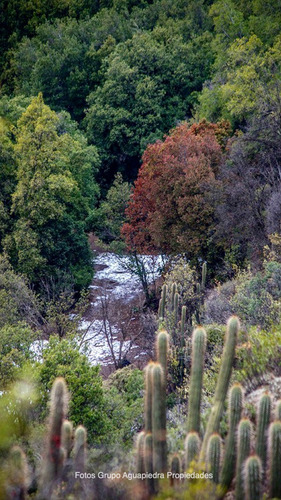 Con Playa Y Orilla Rio En Santuario Naturaleza En Arrayan