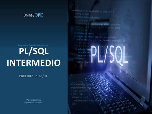 Curso En Pl/sql Nivel Intermedio - Videos