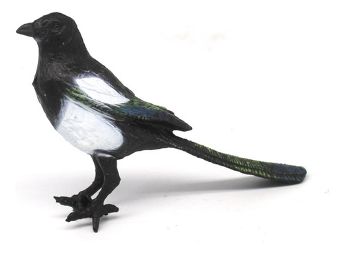 3 Simulação De Pássaro Pega, Figuras De Pássaros,