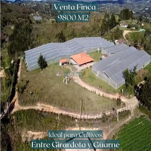 Venta Finca Ideal Cultivos Entre Girardota Y Guarne