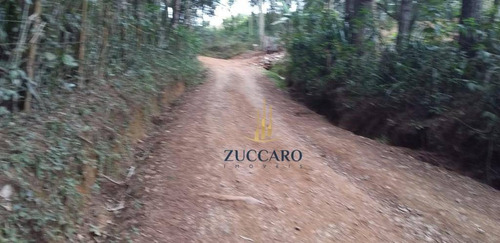 Chácara À Venda, 6000 M² Por R$ 250.000,00 - Tanque Grande - Guarulhos/sp - Ch0095