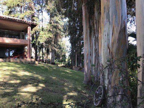 Gran Sitio C/ 2 Casas Ambas C/ Orilla De Lago Y Embarcadero