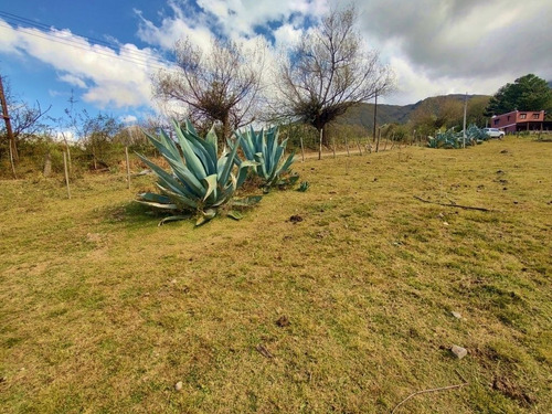 Imagen 9 de 9 de Venta Terreno 1000m2 La Loma De La Ovejeria Tafi Del Valle