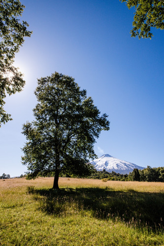 Proyecto Gran Roble Pucon Con Vista Al Volcan Y Lago