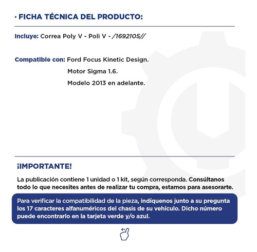 Correa Poly V - Poli V Ford Focus Sigma 1.6 2013+ Original