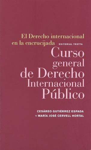 Libro Derecho Internacional En La Encrucijada. Curso Genera