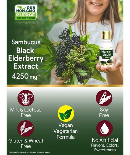 Extracto De Saúco Negro 4250 Mg Horbäach (237 Ml)