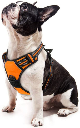 Arnés Para Mascotas S Arneses Rabbitgoo Arnés Para Perros Arnés Para Mascotas S Arneses Rabbitgoo Arnés Para Perros