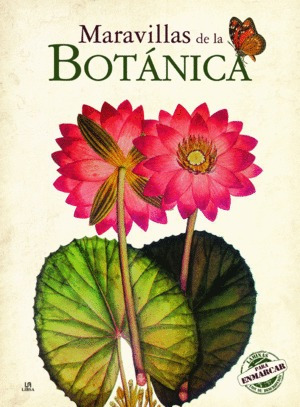 Libro Maravillas De La Botánica-nuevo