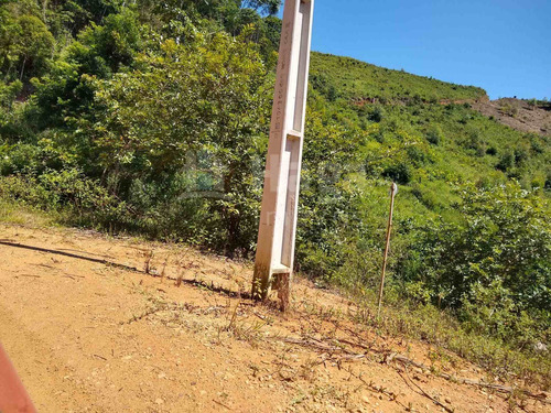 Terreno Rural Para Chácara À Venda Em Itajaí/sc - 1670c