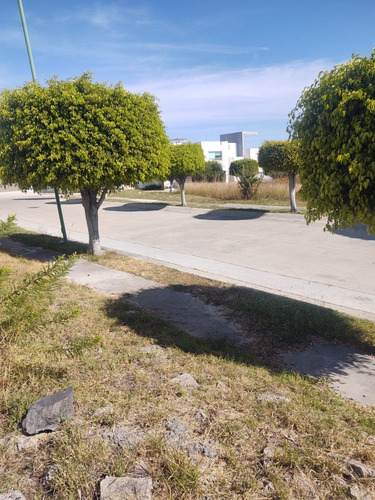 Imagen 6 de 7 de Cañada Del Refugio Vendo, Hermoso Lote Plano
