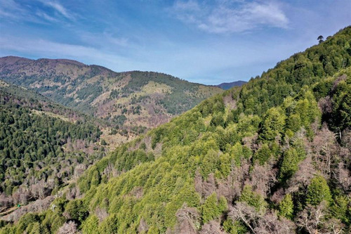 Terreno 4 Ha Camino A Corralco - Malalcahuello 