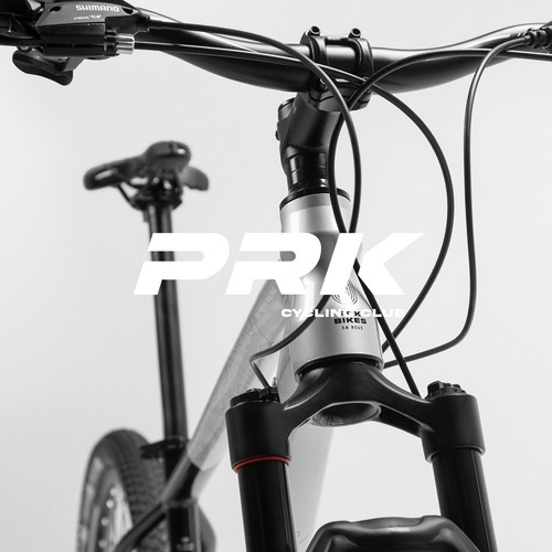 Mountain Bike Pegasus R29 24v