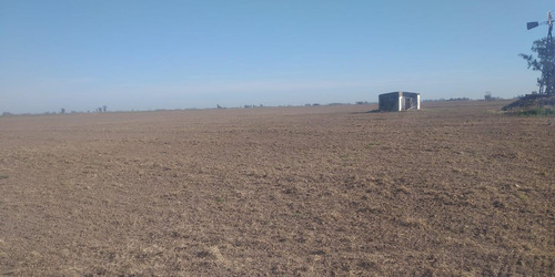 Campo En Serodino