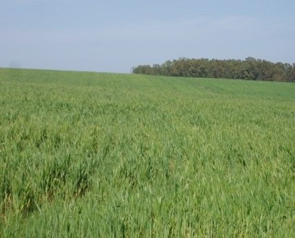Imagen 13 de 15 de Terreno Campo En Venta Ubicado En Aguada, Montevideo