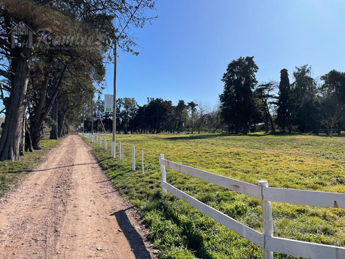 Lote Terreno En Venta 840 M2 - Parques Del Morenito, Moreno Norte