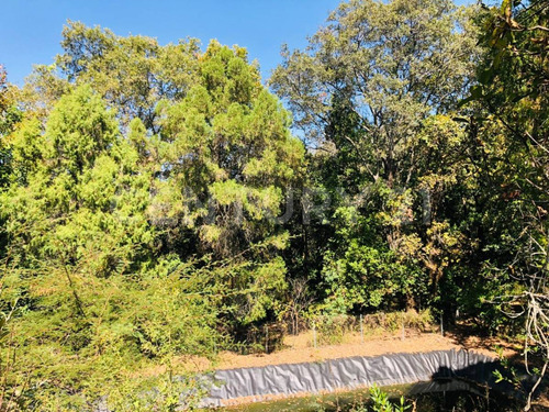 Terreno Venta Cocuatla Tepoztlan San Juan Tlacotenco Ocotes Tepoztlan Morelos