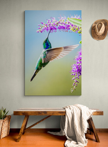 Cuadro En Lienzo Tayrona Store De Colibris 001 50x70cm