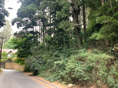 Terreno De Aprox 3.095 M2 En Cerro La Virgen, Concepción