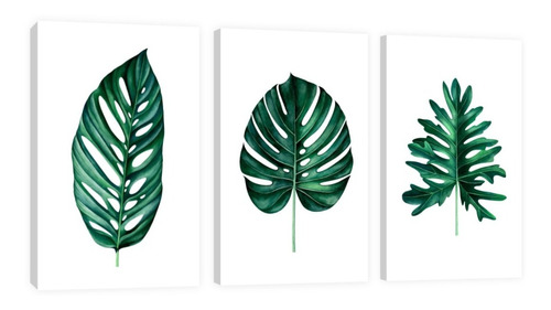 Cuadro Decorativo Canvas Triptico Vertical Hojas Verdes