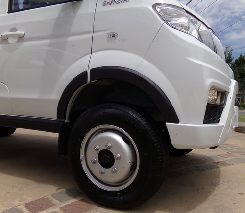 Imagen 6 de 24 de Shineray T30 C/simple Chasis Con Duales Full 2ton 0km My2023