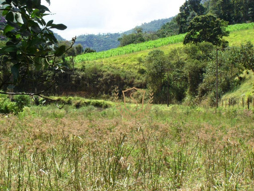 Fazenda À Venda, 968000 M² Por R$ 1.900.000,00 - Posse - Teresópolis/rj - Fa0004
