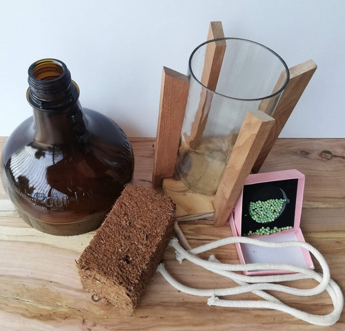 Imagen 2 de 4 de Kit Little Plant 27 Con Soporte, Maceta Autorregante