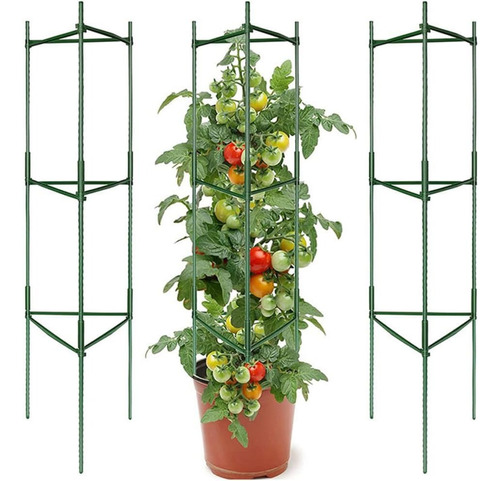Soporte Tutor Para Plantas Enredaderas Y Tomate Estacas