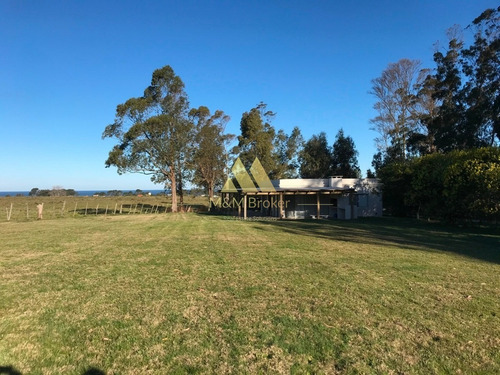 Imagen 6 de 12 de 2 Casas En Balneario Bs As Orden De Vender!, Con Renta!!!!