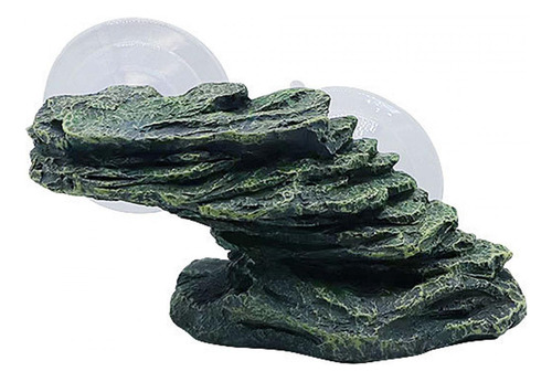 Muelle Para Reptiles, Piedra Para Terraza De , Repisa Para