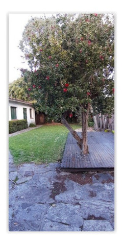 Imagen 17 de 23 de Chalet 6 Ambientes - Barrio Alfar