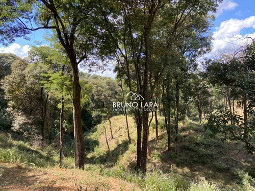 Imagem 29 de 30 de Sítio À Venda Em Igarapé Bairro Jardim Vila Rica - Si0095