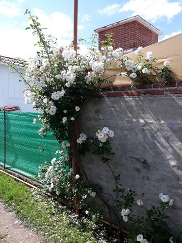 Cabaña Villa Carlos Paz Centro, 2 A 6 Personas, Cochera, Cocina Completa, Aa, Wifi, Smartv