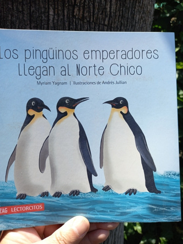 Libro Infantil Full Ilustrado C/lección Ecológica Pingüinos