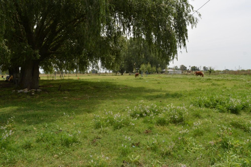 Imagen 2 de 24 de Venta De Campo De 2 Hectáreas En Guernica