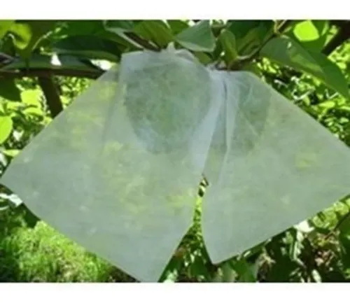 comprar 100 Sacos Tnt Proteção Frutas No Pe 15x25cm Fruta Protegida