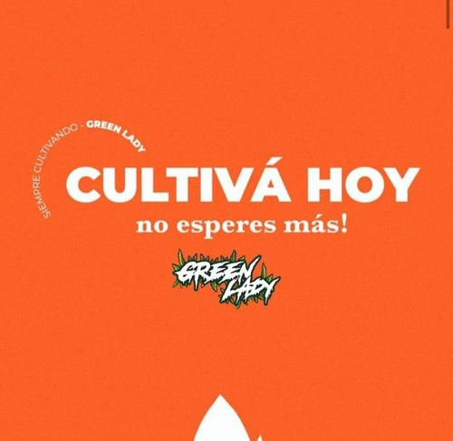 Imagen 3 de 3 de Carpa Bellavita Cultivos Lite 100x100x200cm + C+