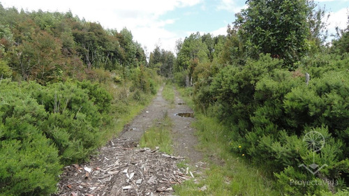 Venta Parcela 1 Hectárea En Ancud, Chiloé