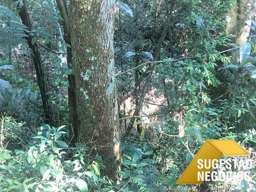 Chácara Para Moradia Ou Lazer Em Ibiúna - 3661