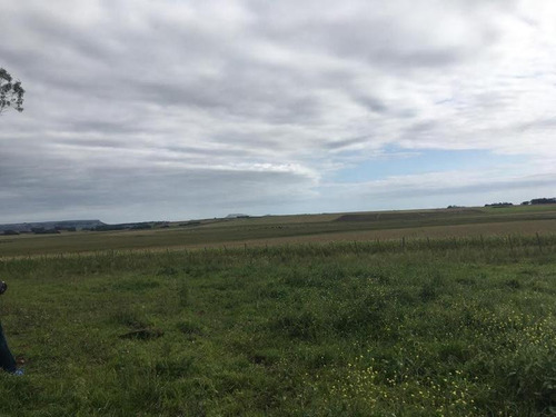 Imagen 4 de 15 de Campo - Balcarce