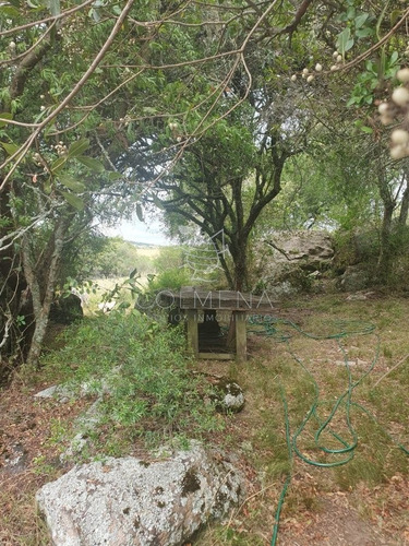 Imagen 9 de 19 de Campo 7 Has Con 1333 M2 Cerca De Aigua
