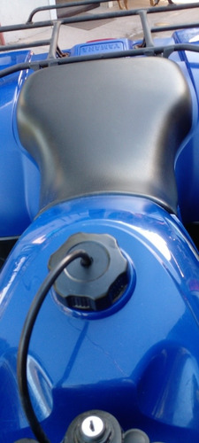 Imagen 3 de 12 de Cuatriciclo Yamaha Grizzly 350 4x4